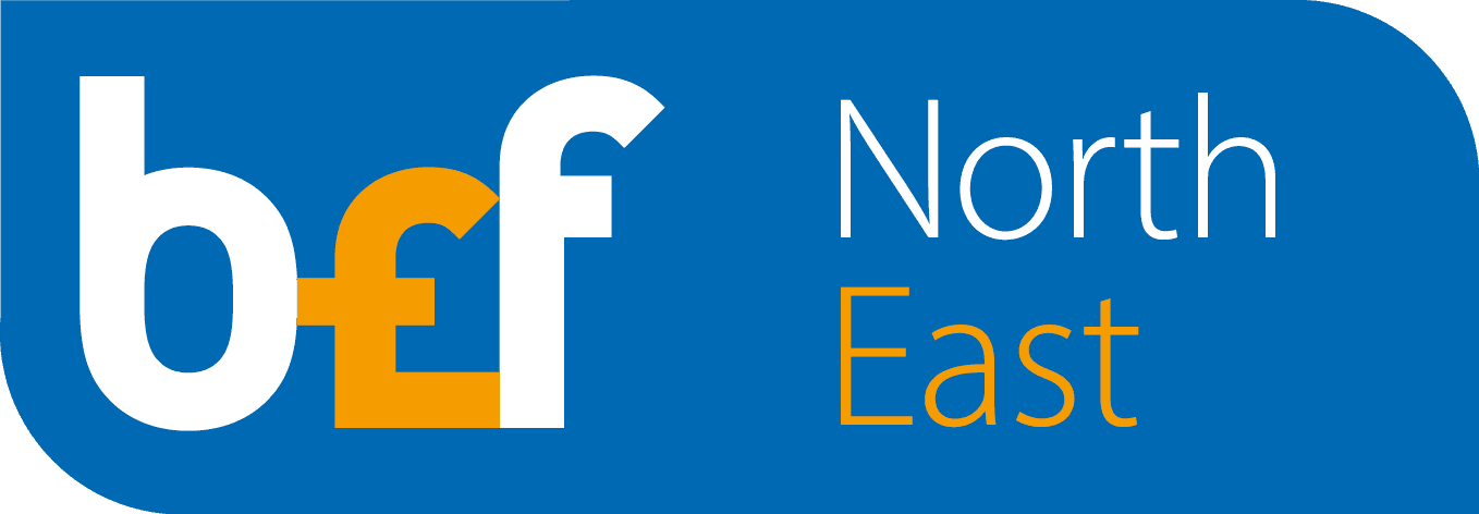Business Enterprise North East logo - a blue background with white and orange letters
